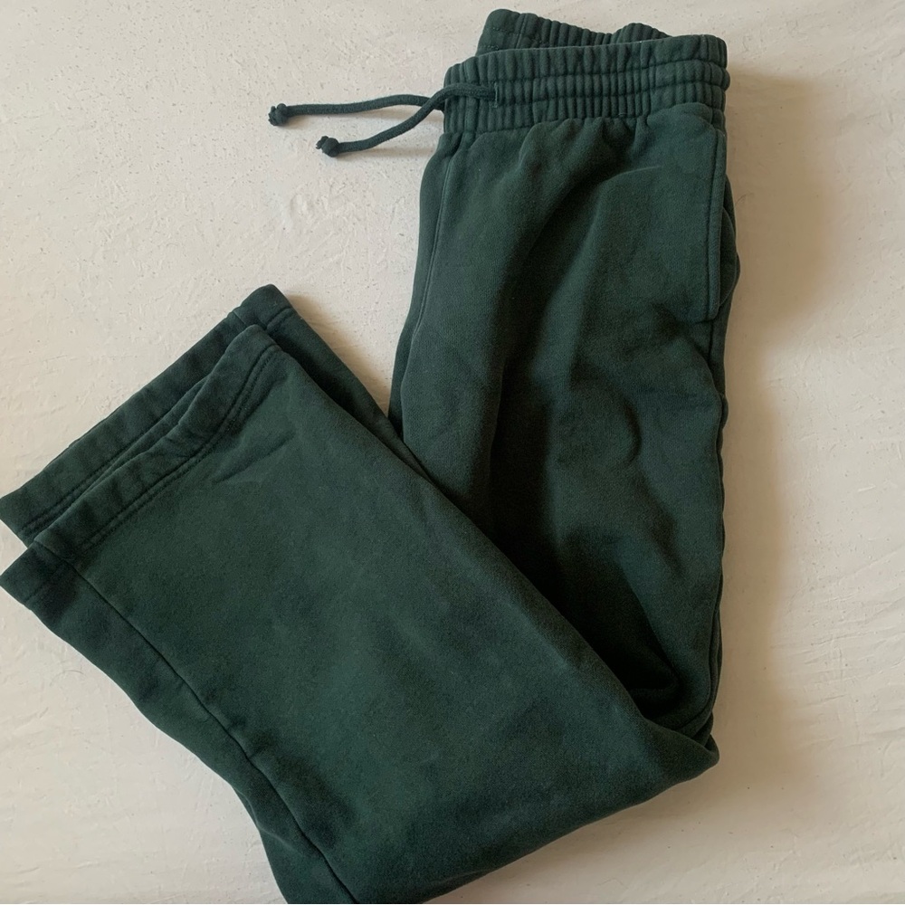 Aritzia Cozy Asf Sweats